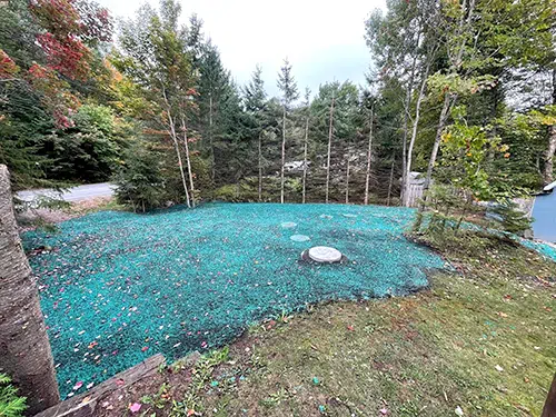 Excavation Collins photo 5